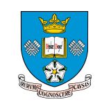 谢菲尔德大学